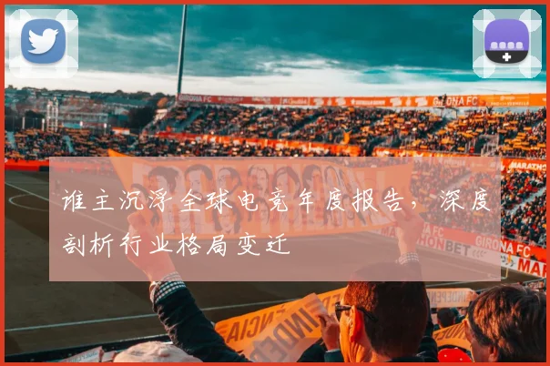 谁主沉浮全球电竞年度报告，深度剖析行业格局变迁
